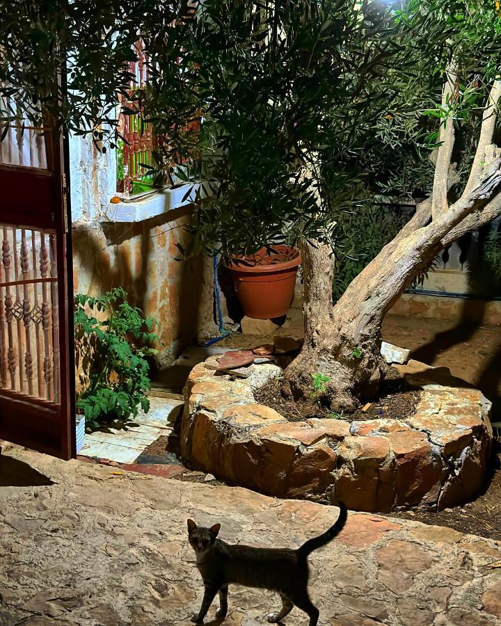 Auberge Dalia Chefchaouen Exterior photo